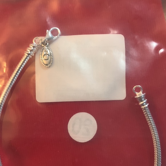 BRAND NEW  Bracelet Silver Lobster Clasp - 590700HV - Picture 4 of 6